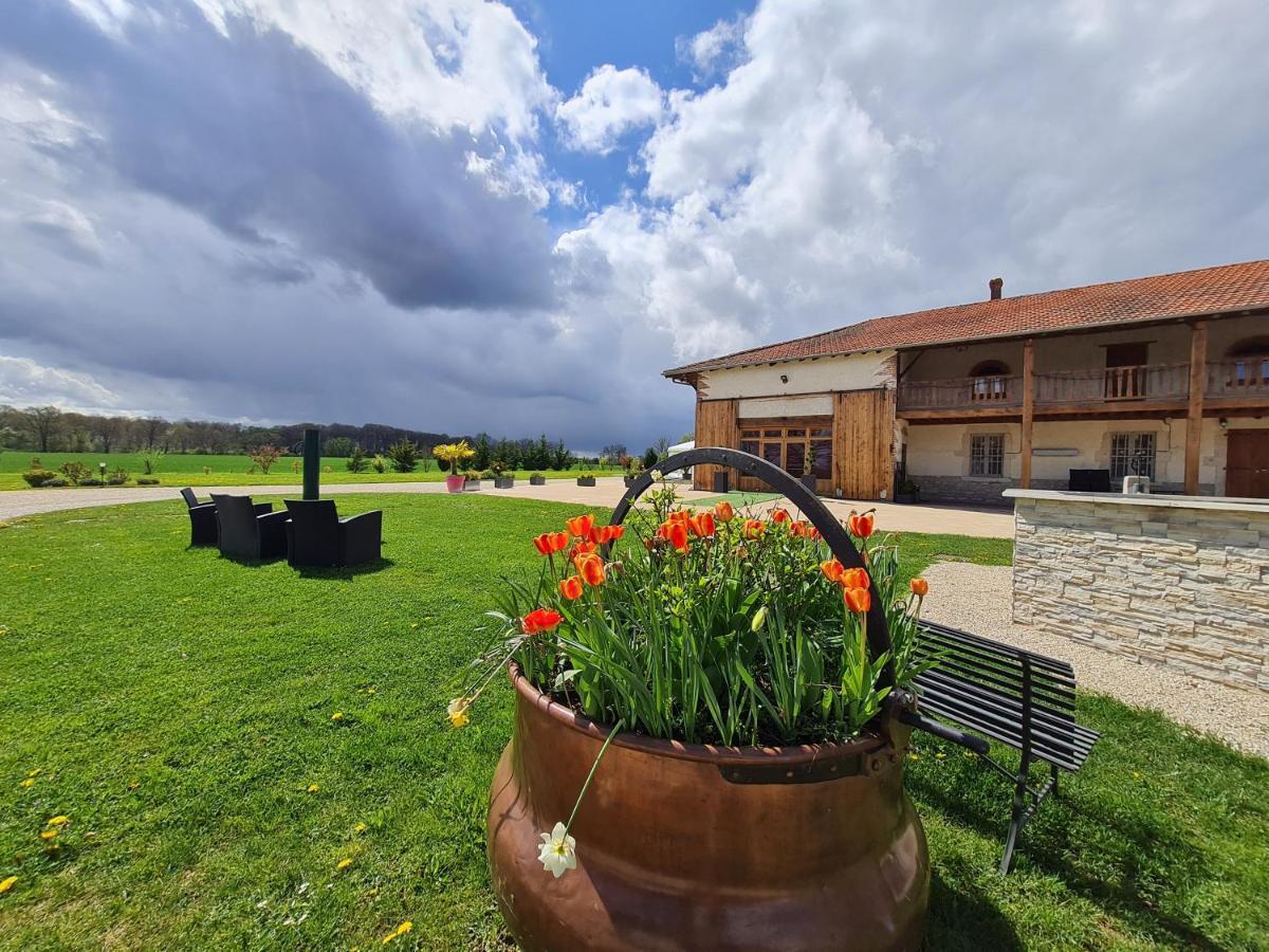 Saint-André-sur-Vieux-Jonc Domaine Du Cuiset -Gite Des Combles 빌라 외부 사진