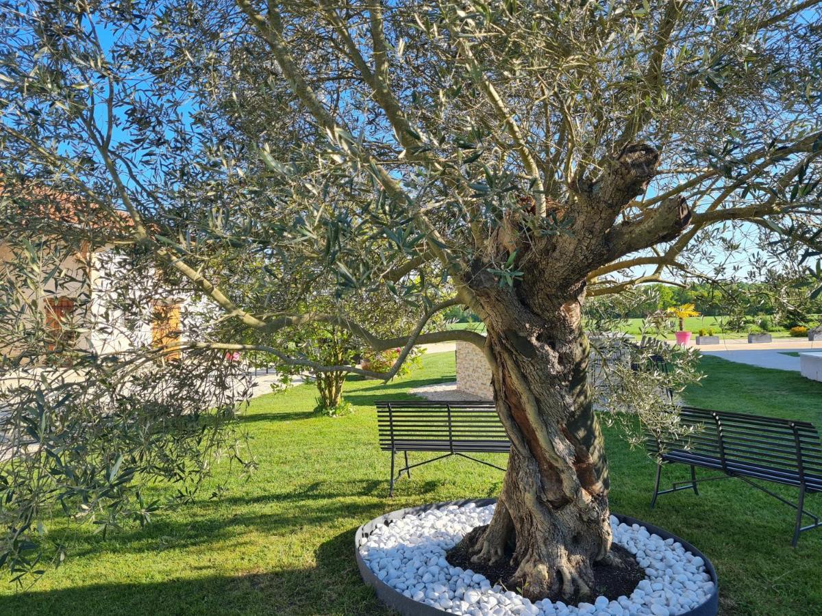Saint-André-sur-Vieux-Jonc Domaine Du Cuiset -Gite Des Combles 빌라 외부 사진